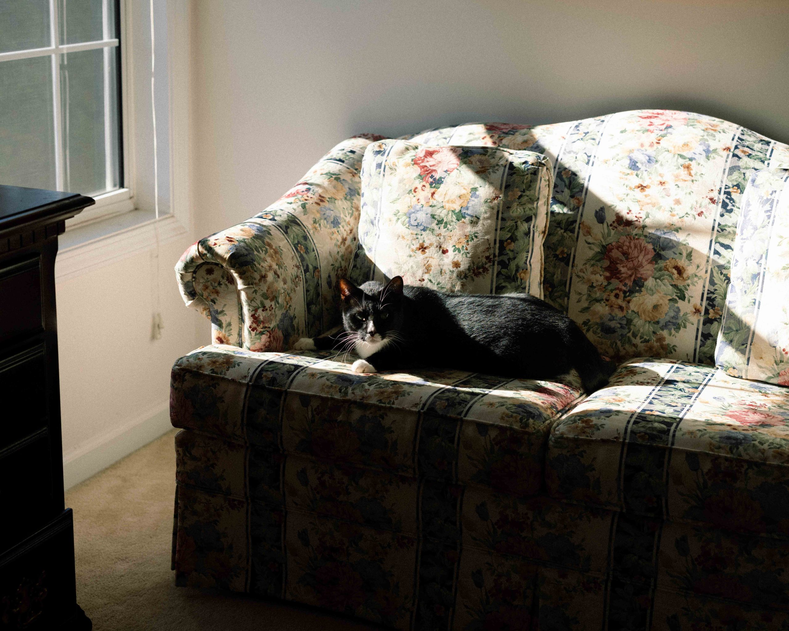 Ginnygraf_Photography Additional Portraits-19