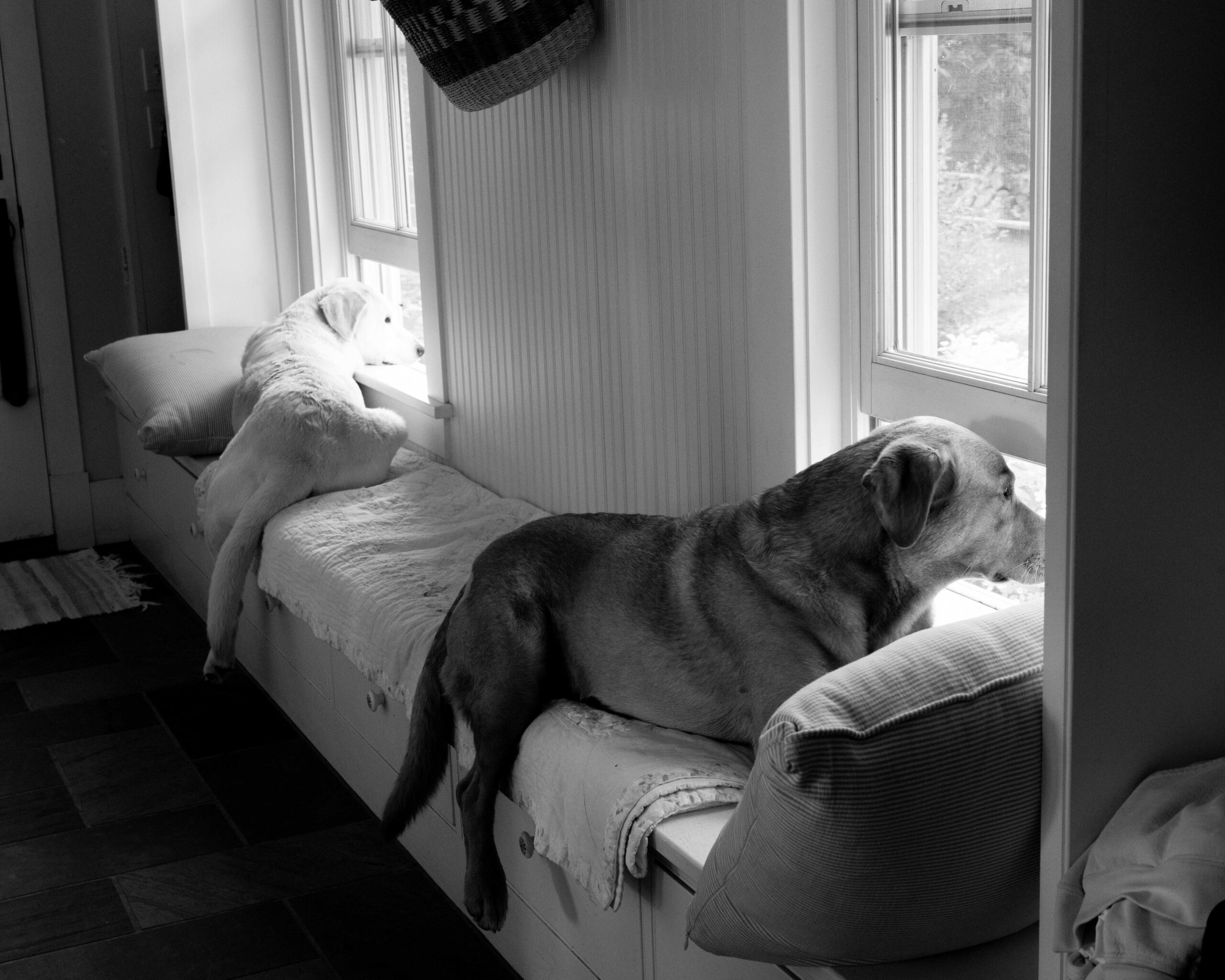 Ginnygraf_Kate and Frank-179